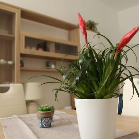 Ohana: Casa Nel Centro Di Λέτσε Εξωτερικό φωτογραφία