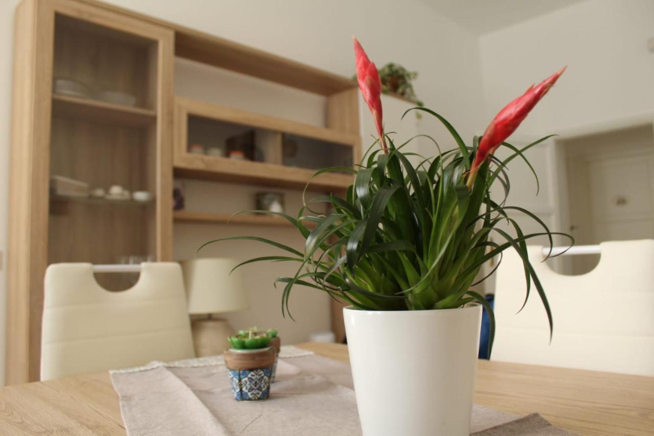 Ohana: Casa Nel Centro Di Λέτσε Εξωτερικό φωτογραφία